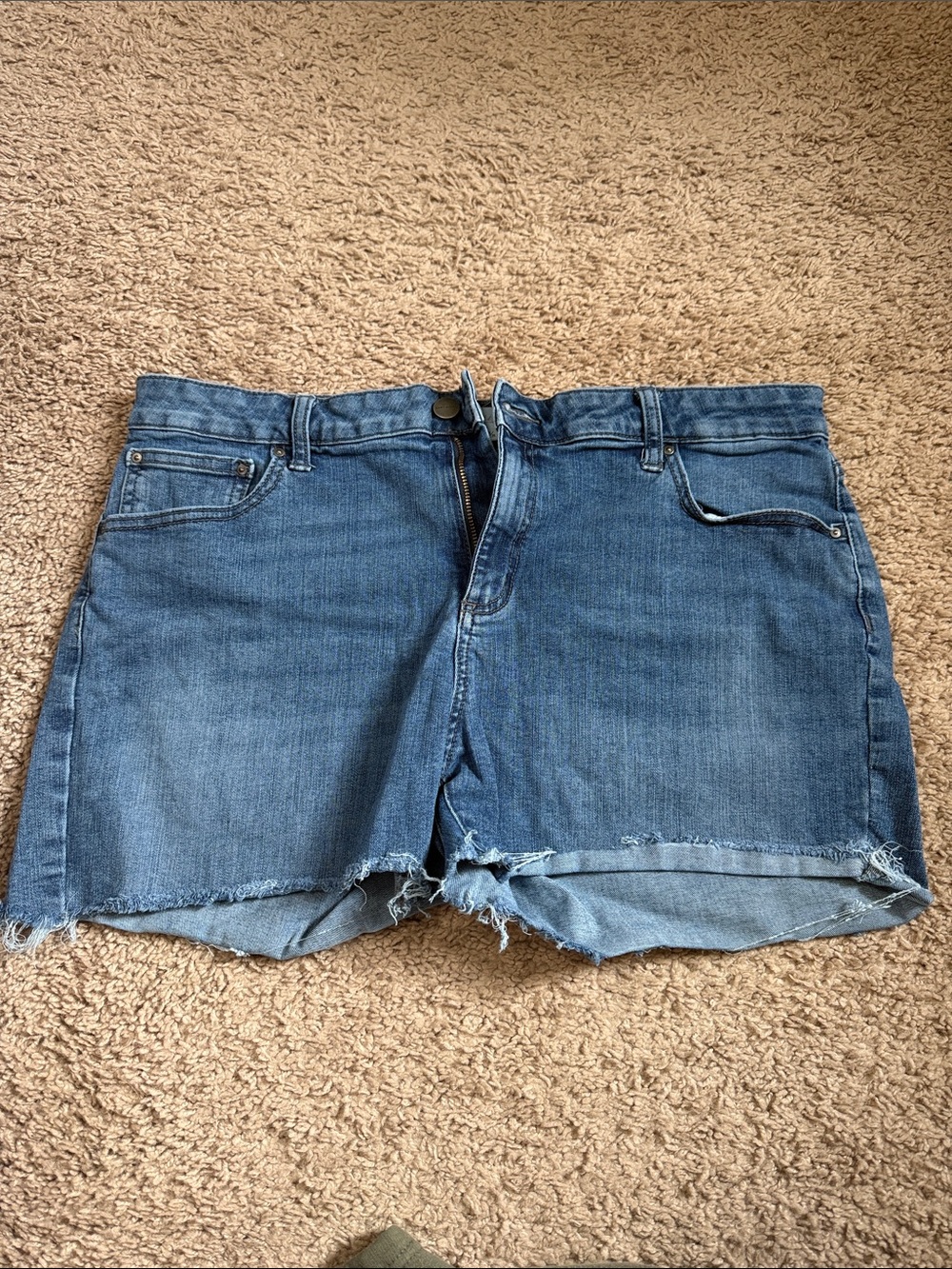 Daily Ritual Medium Blue Cutoff Denim Shorts